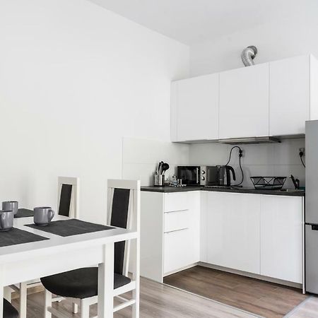 Tomasza 20 Apartment 140M2 クラクフ エクステリア 写真